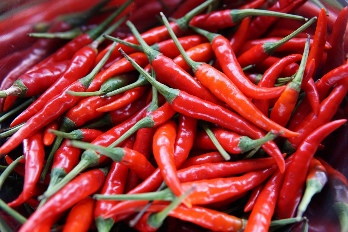 Red Demon Chilli from Kenya